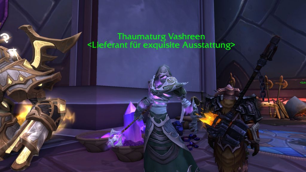 World of Warcraft Thaumaturg Vashreen Vindikaar