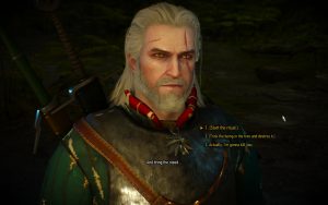 Witcher 3 Choices