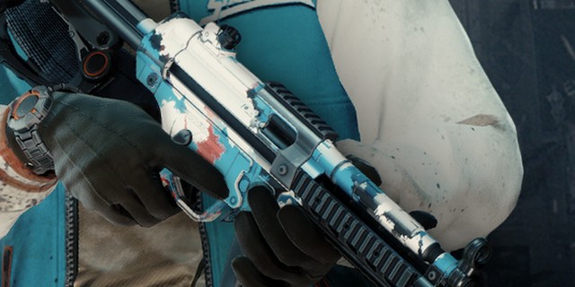 the-division-weapon-skin