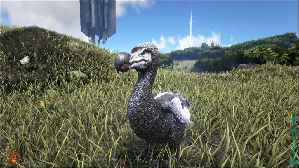 ark dodo1