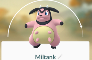 Pokémon GO Miltank