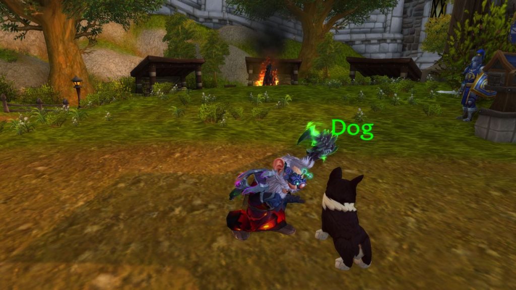 World of Warcraft WoW Sturmwind Botschaft Haustiere Hund Streicheln