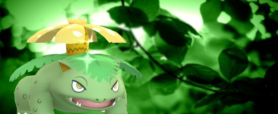 Pokémon Go Shiny Bisasam Familie Macht Sich Bereit Für Den