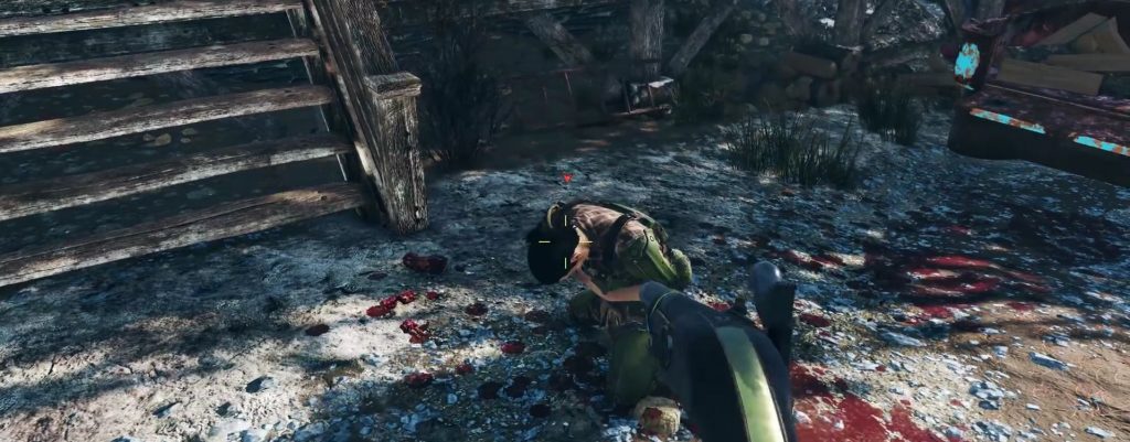 Fallout 76 PVP Screenshot Titel