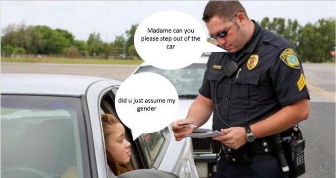 Gender-Meme