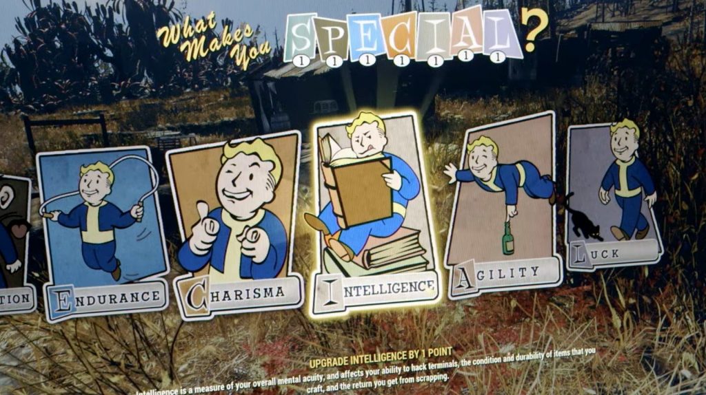 fallout-76-special-doc