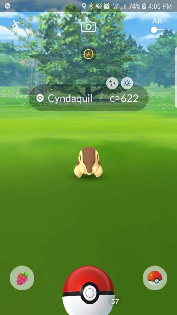 Shiny Feurigel Pokémon GO