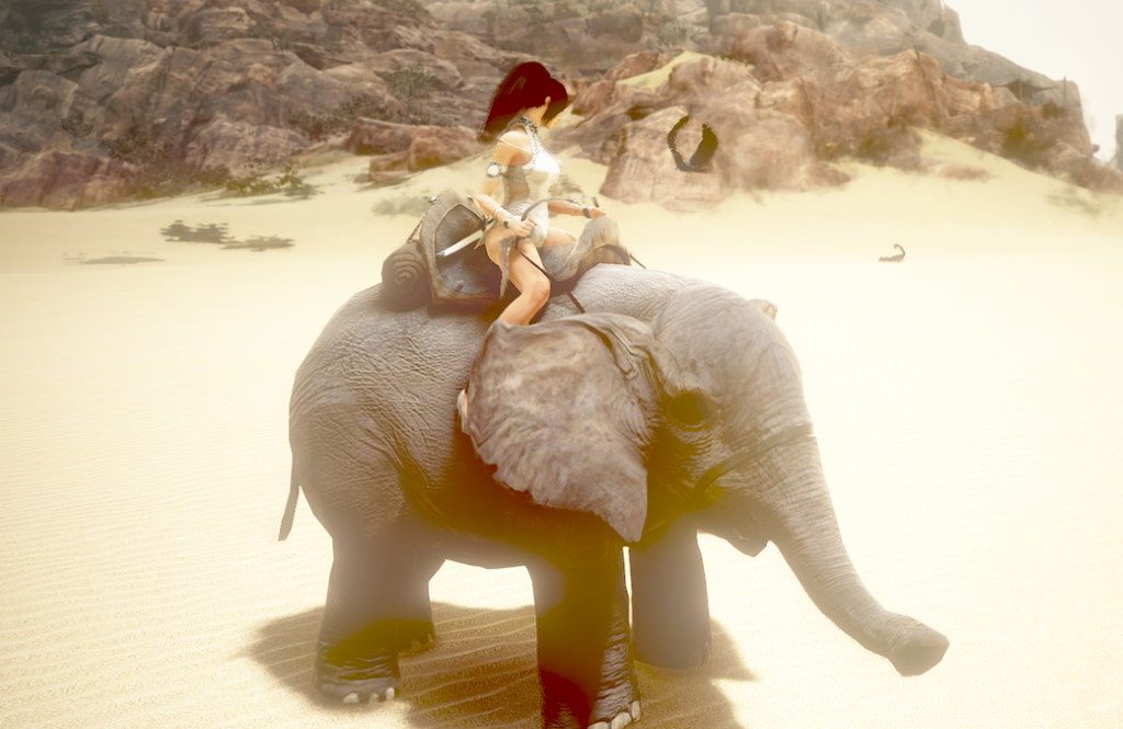 Black Desert Online Babyelefant Screenshot