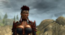 GW2 Frisuren Teil 1