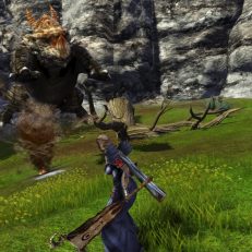 Dragon's Prophet - Screenshot Action