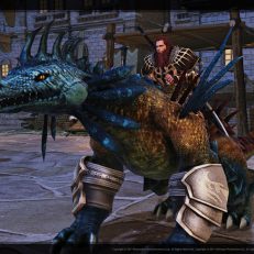 Dragon's Prophet: Drachen zähmen
