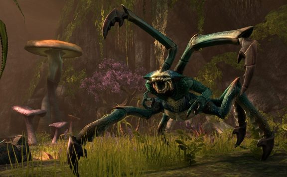 The Elder Scrolls Online: Spinnenboss