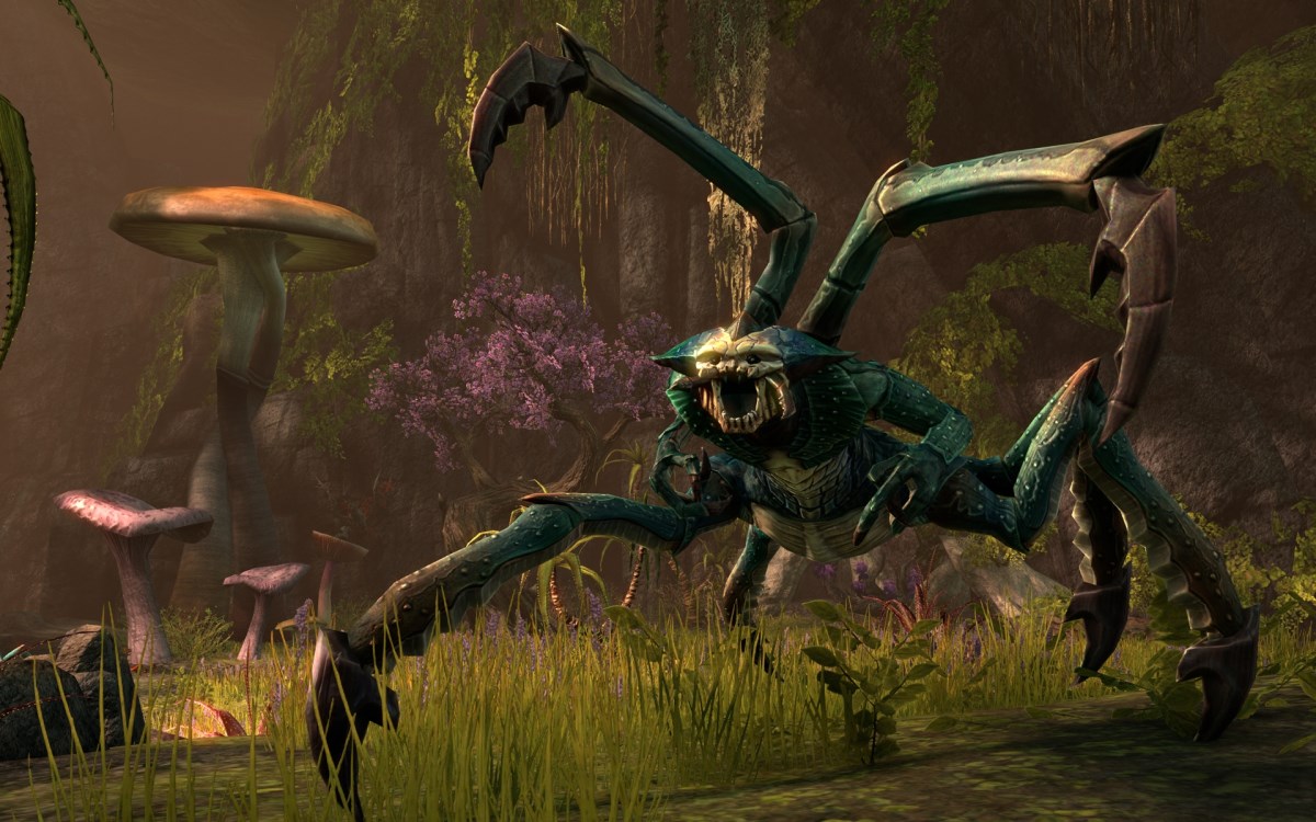 The Elder Scrolls Online: Spinnenboss
