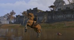 The Elder Scrolls Online Kampagne