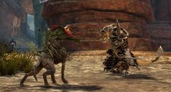Guild Wars 2 Screenshot