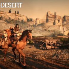 Black-Desert-Pferd-ist-was-wert