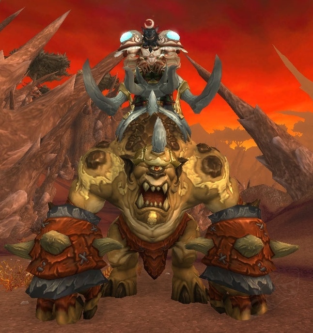 World of Warcraft: Rammfaust der neue zeitverlorene Protodrache – Ist selten, weil keiner teilen will