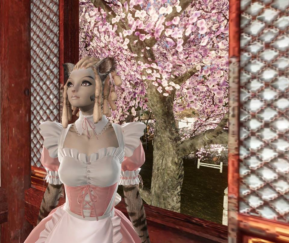 ArcheAge-Nuian-Flieder