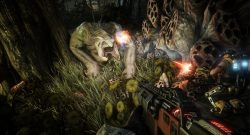 Evolve Wildtier Guide