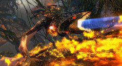 Guild-Wars-2-Wyvern