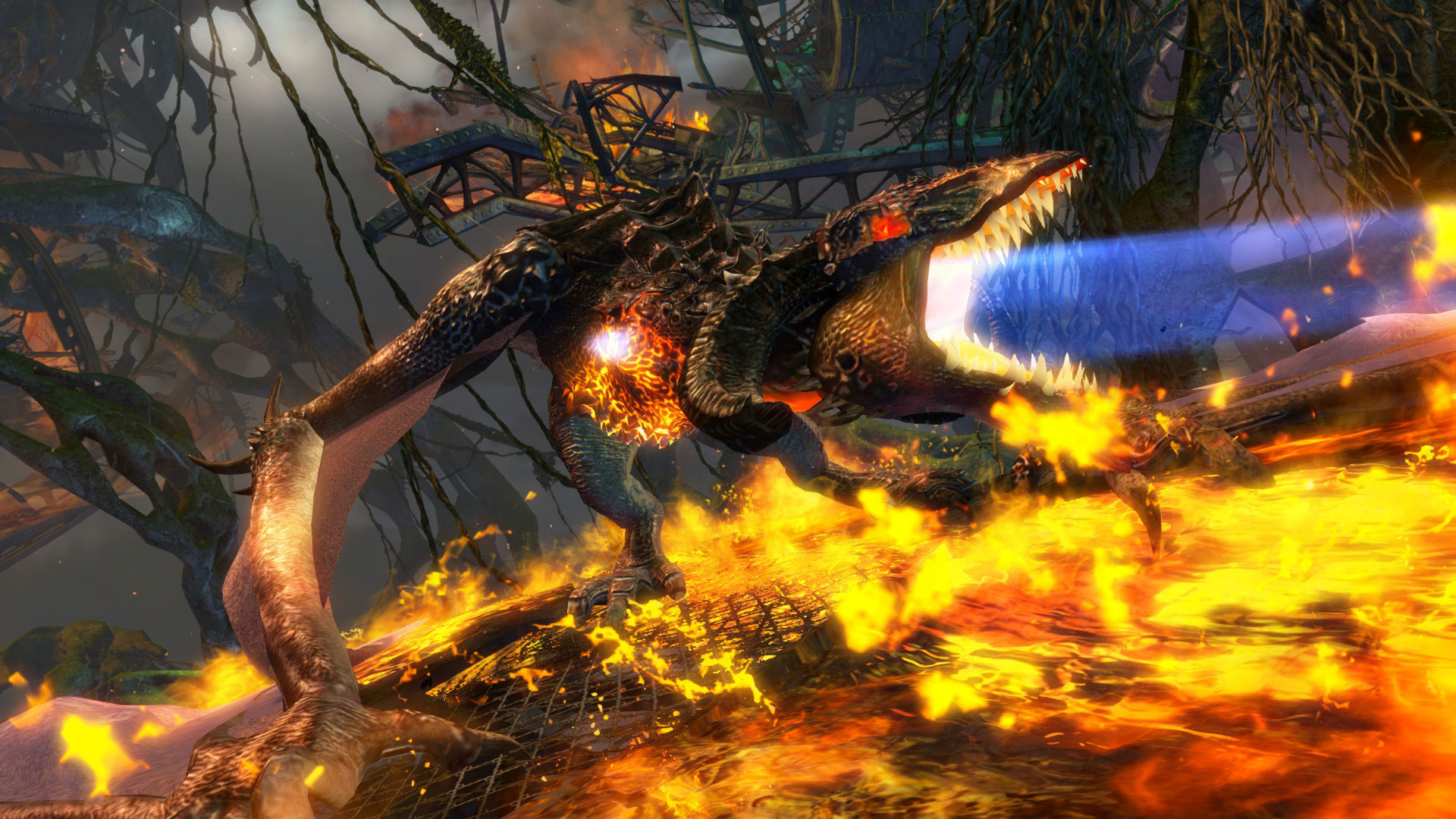Guild Wars 2: Spielerin verliert alles bei Hausbrand – doch ArenaNet hilft
