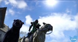 TESO-Katze-reitet-Katze