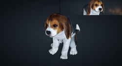 Black-Desert-Beagle