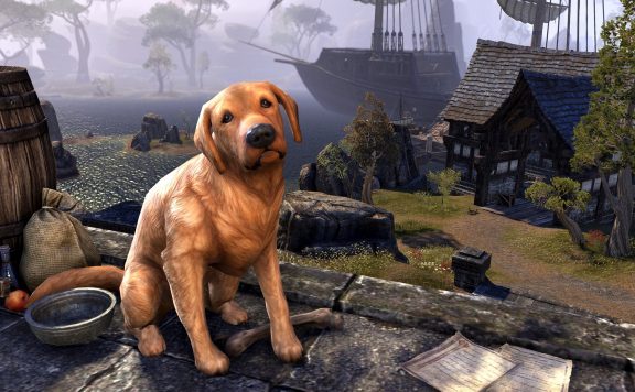 TESO-Apportierhund