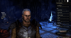 Witcher-TESO
