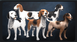 Star-Trek-Online-Beagles