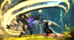 Herald-Attack-Guild-Wars2