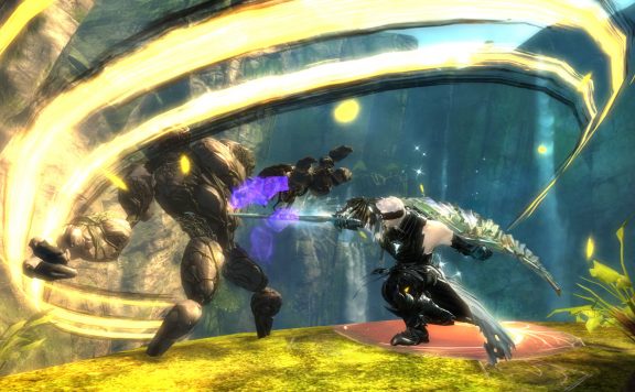 Herald-Attack-Guild-Wars2