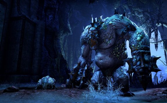 The-Elder-Scrolls-Online-Verliess