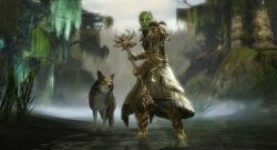 Guild Wars 2 Druide 1