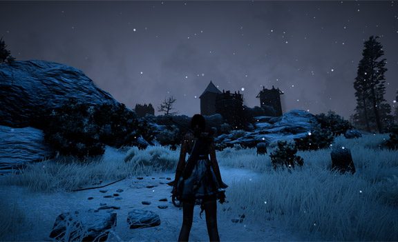 Black Desert Dark Nights