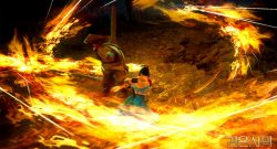 Black Desert Awakening Tamer