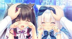 Nekopara Full Title