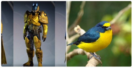 Destiny: Was haben Shader mit Vögeln gemeinsam? Einiges!