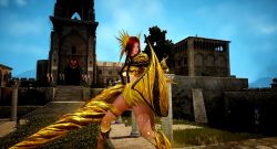 Black Desert Valkyrie Awakening
