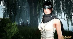 Black Desert Kunoichi