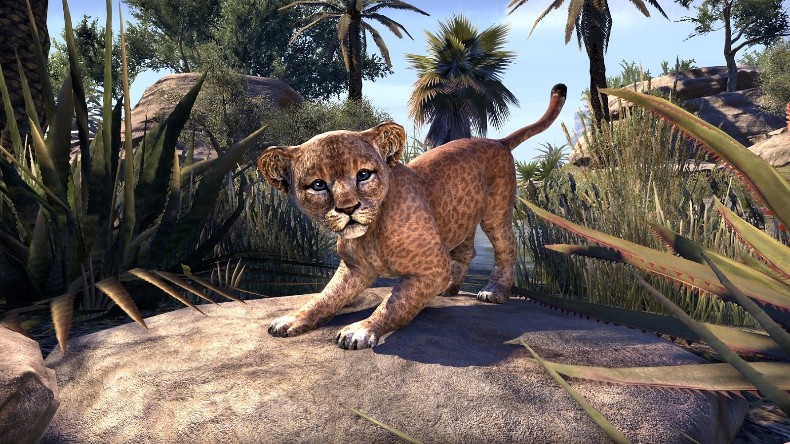 The Elder Scrolls Online: Katzen und Wald-Kleidung sind die April-Mode