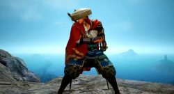 Black Desert Ninja Awakening