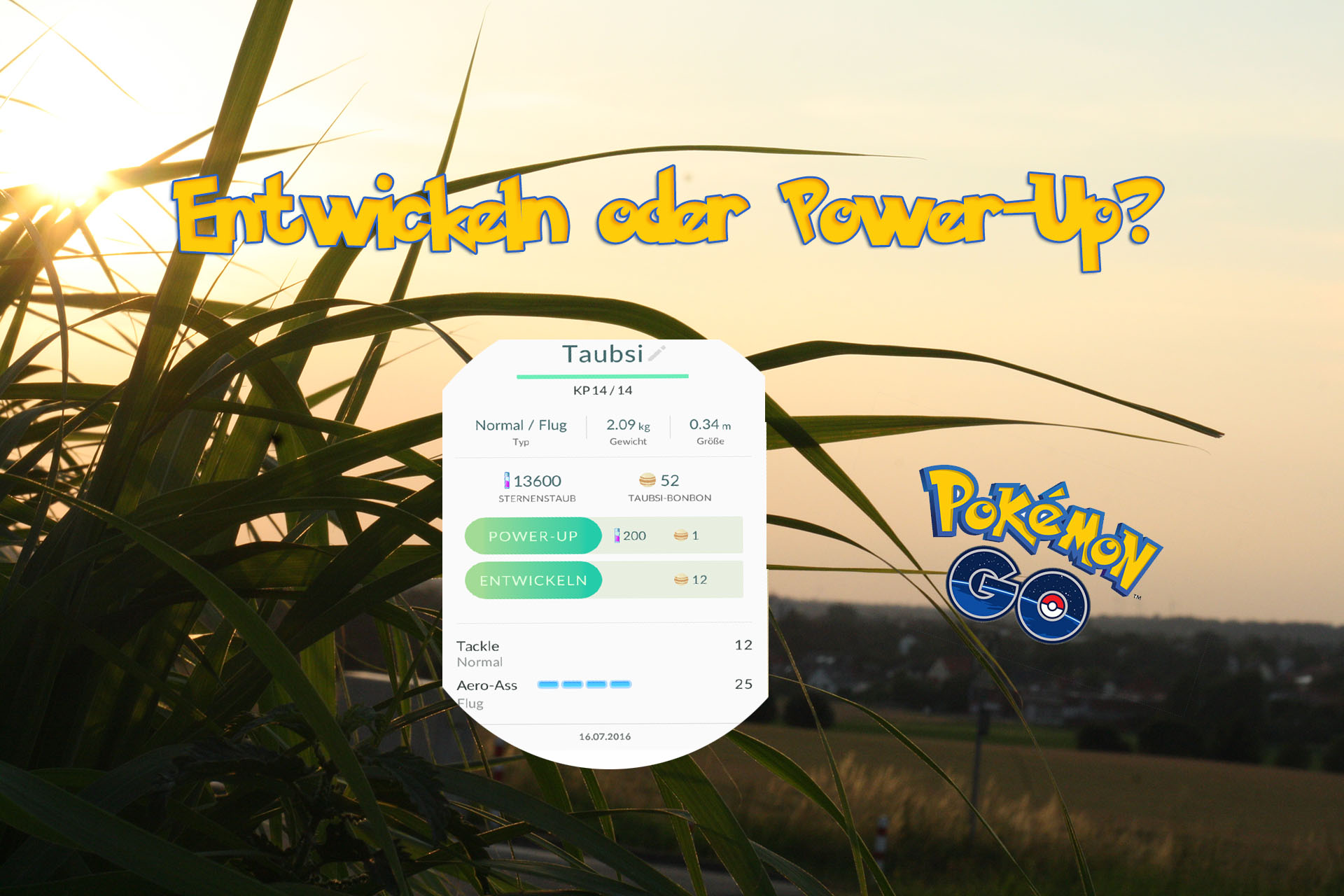 Pokémon GO: Entwickeln oder Power-UP? So verbessert Ihr Eure Pokémon richtig