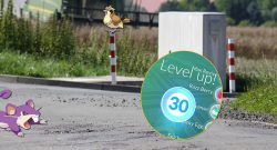 Pokémon GO Hohes Level Belohnungen