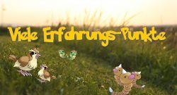 Pokémon GO Taubsi Raupy Hornliu Erfahrung