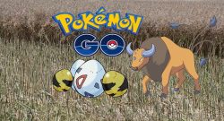 Pokémon Eier Regional Tauros