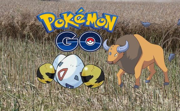 Pokémon Eier Regional Tauros