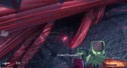 destiny-siva-bündel