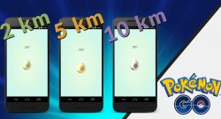 Pokemon GO Eier Muster