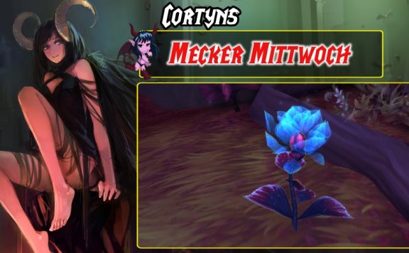 ThemenbildMeckerMittwochBreit980x500Starlightrose